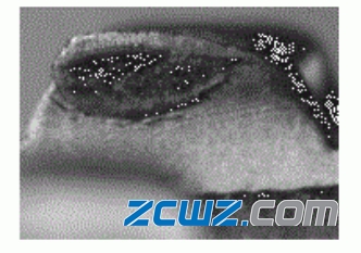 圆柱滚子轴承保持架锁爪变形引起的轴承故障