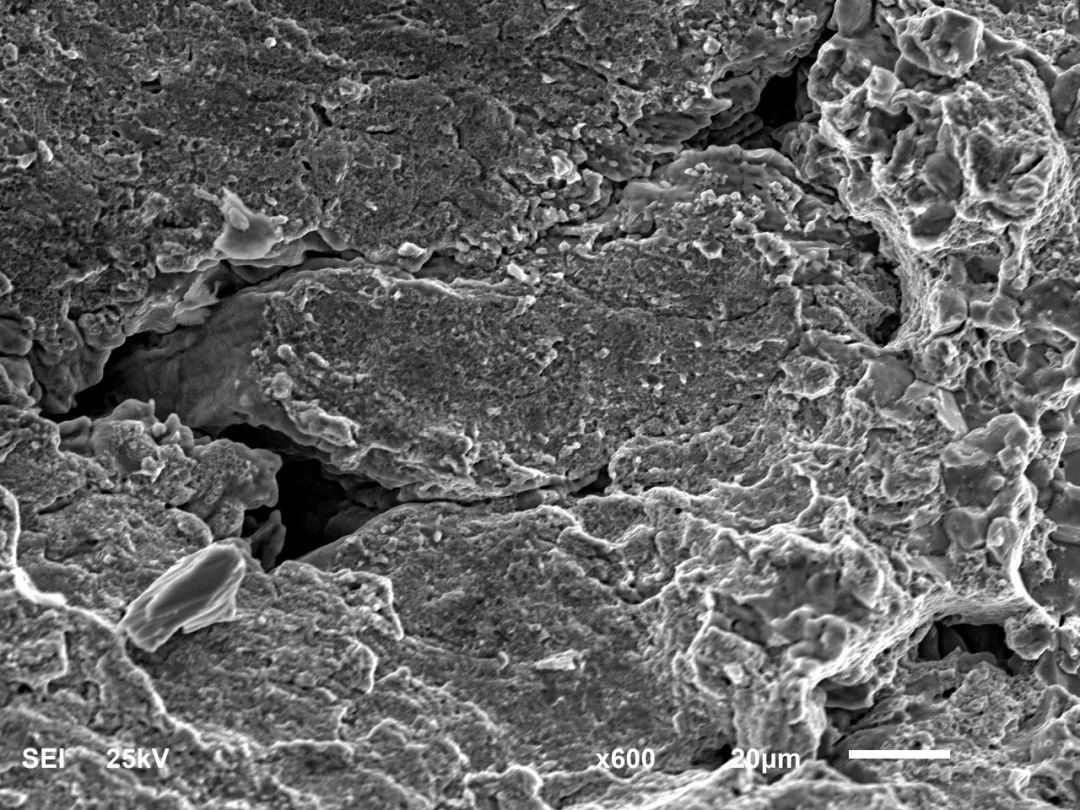 特大型轴承外圈早期失效原因分析